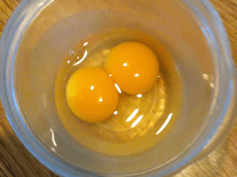 doubleyolk